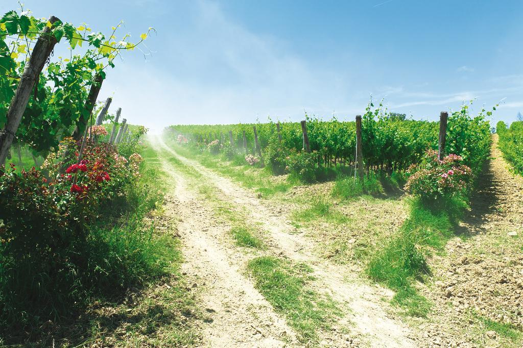 Roccafiore Wine Resort & Spa Todi Luaran gambar