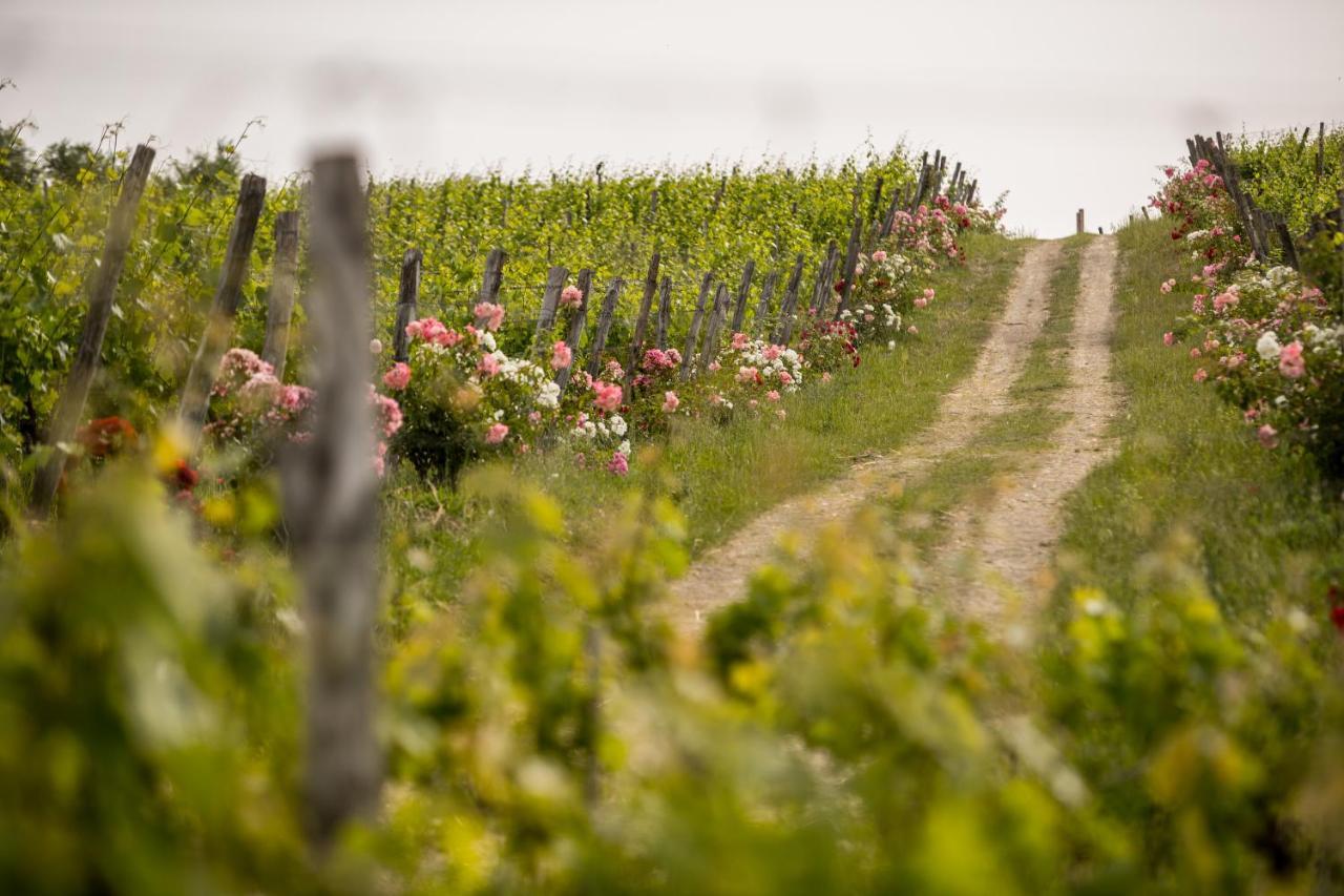 Roccafiore Wine Resort & Spa Todi Luaran gambar