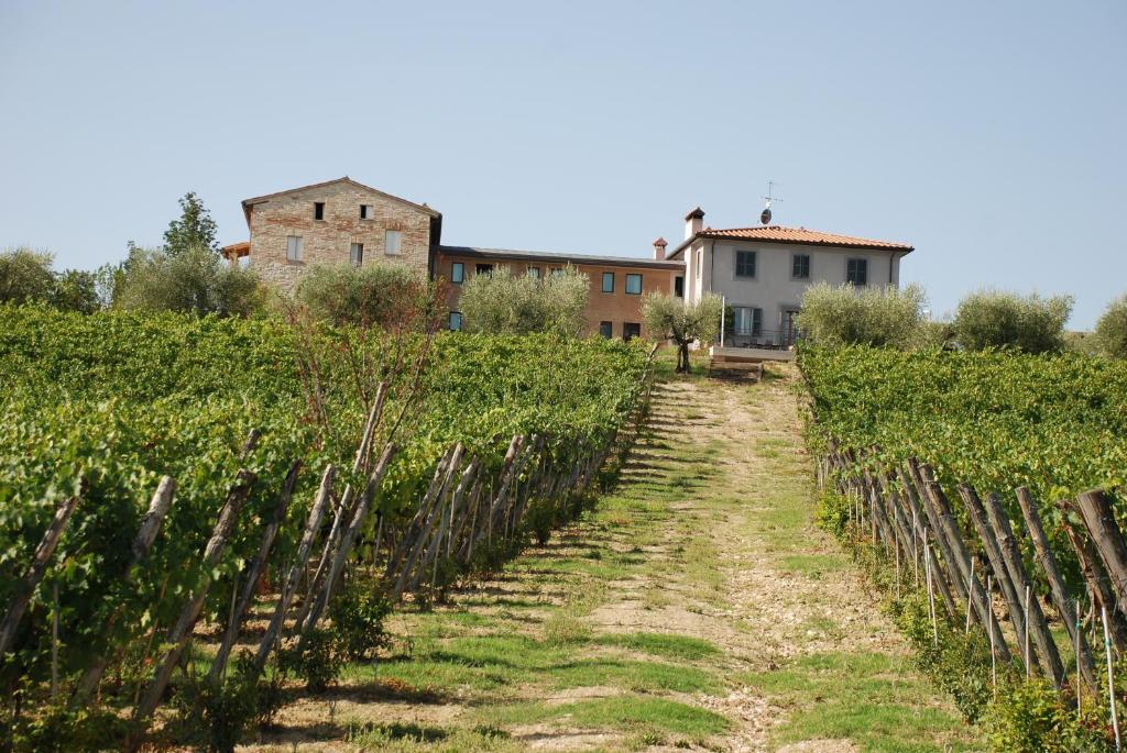 Roccafiore Wine Resort & Spa Todi Luaran gambar